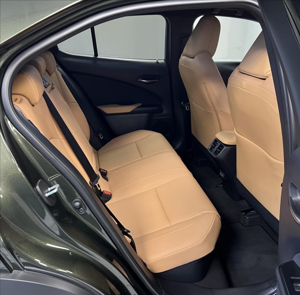 Lexus UX 300h