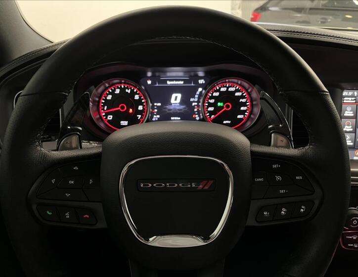 Dodge Charger 16
