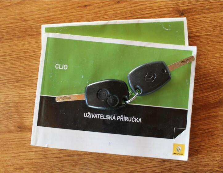 Renault Clio 17
