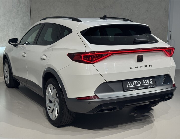 Cupra Formentor 9
