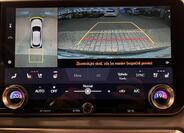 Lexus RX 500h 19