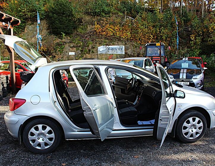 Peugeot 307 14