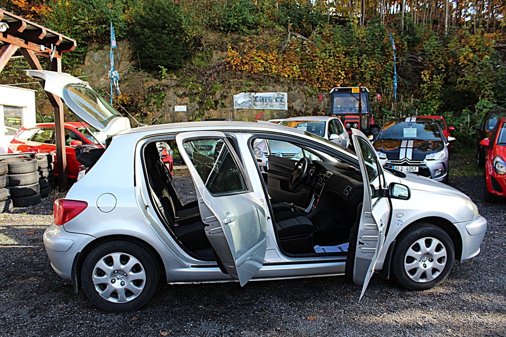 Peugeot 307