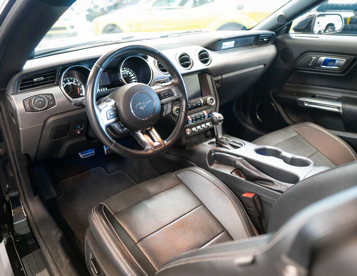 Ford Mustang 11