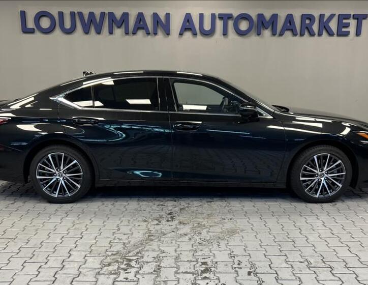 Lexus ES 300h 14