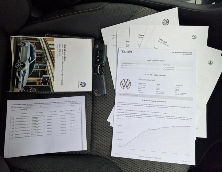Volkswagen Golf 48