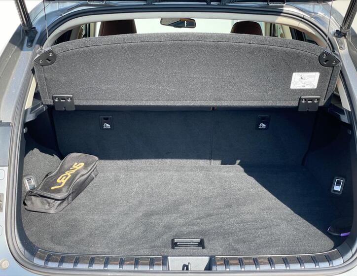 Lexus NX 300h 25