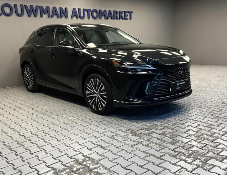 Lexus RX 450h plus 11