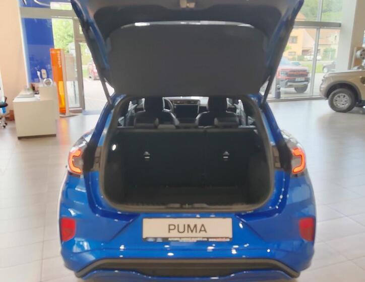 Ford Puma 17