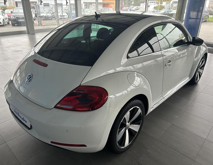 Volkswagen Beetle 6