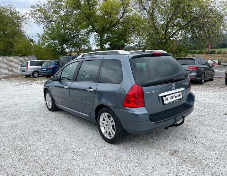 Peugeot 307 10