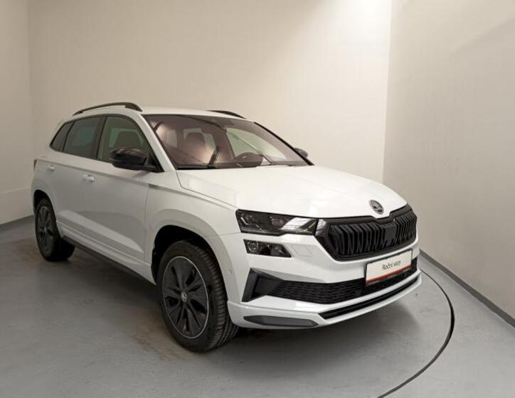 Škoda Karoq 14