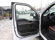 Ford F-150 21