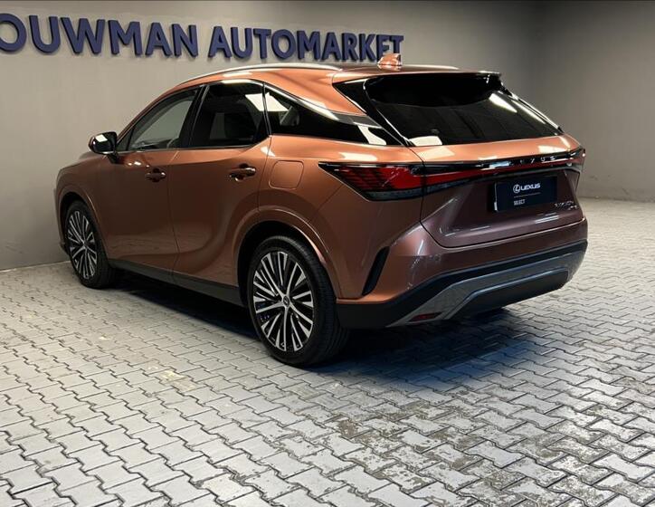 Lexus RX 450h plus 13
