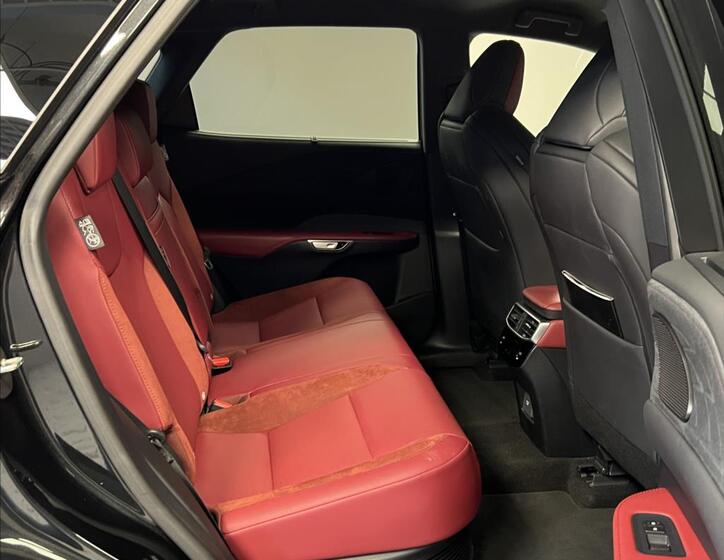 Lexus RX 500h 10