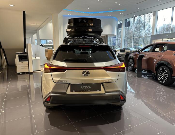Lexus UX 250h 5