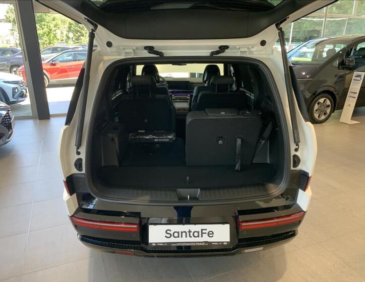 Hyundai Santa Fe 10