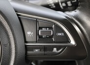 Suzuki Swift 19