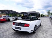 Ford Mustang 19
