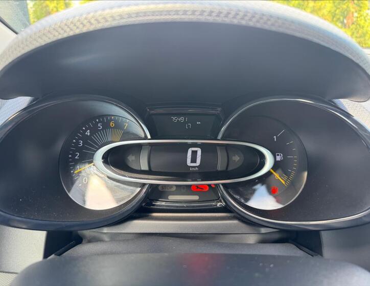 Renault Clio 17