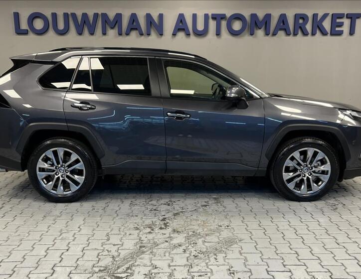Toyota RAV4 18
