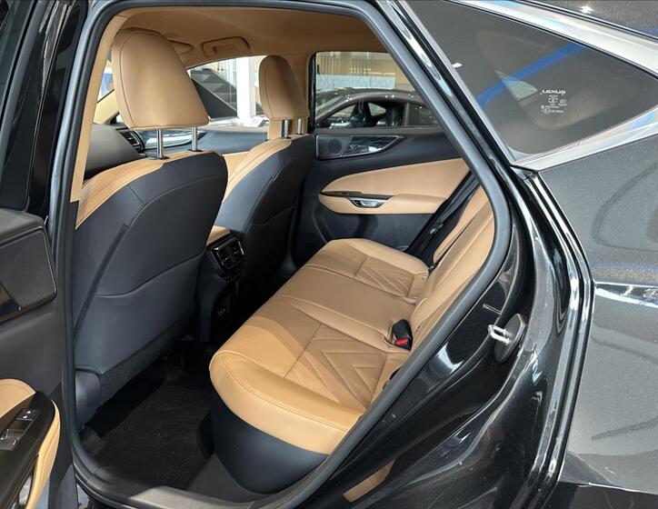 Lexus NX 450h plus 15