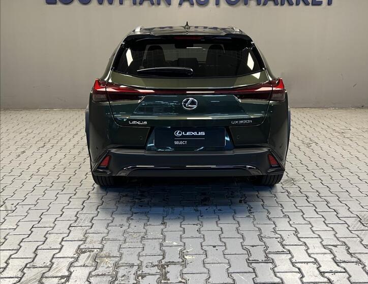 Lexus UX 300h 12