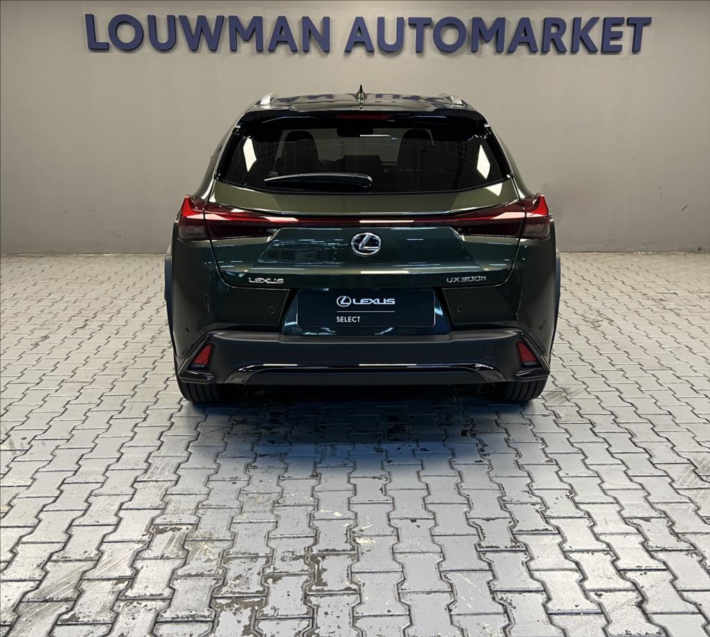 Lexus UX 300h