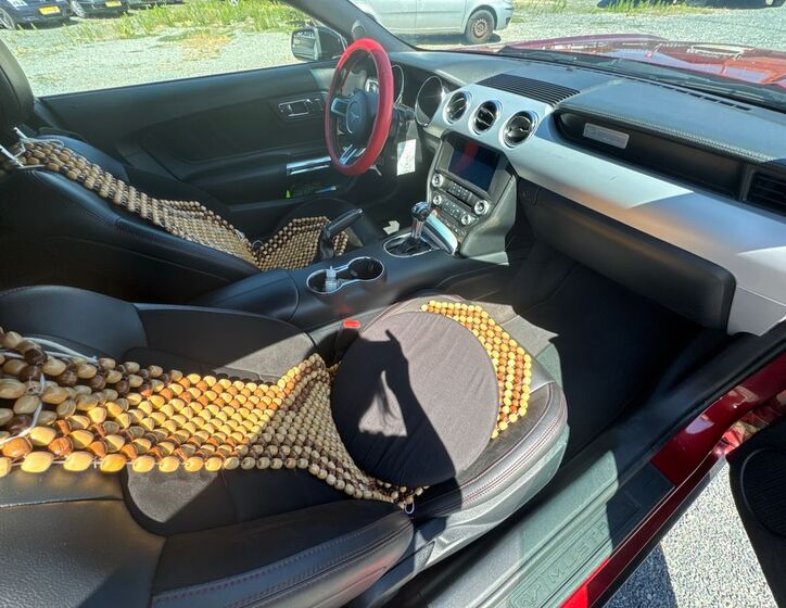 Ford Mustang 21