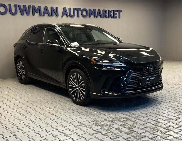 Lexus RX 350h 11