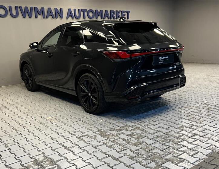 Lexus RX 500h 13