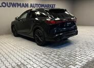 Lexus RX 500h 13