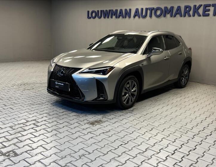 Lexus UX 300h 1