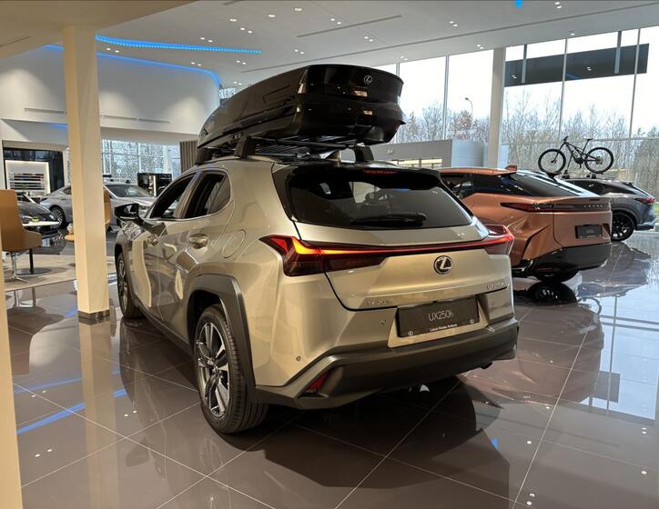 Lexus UX 250h 4