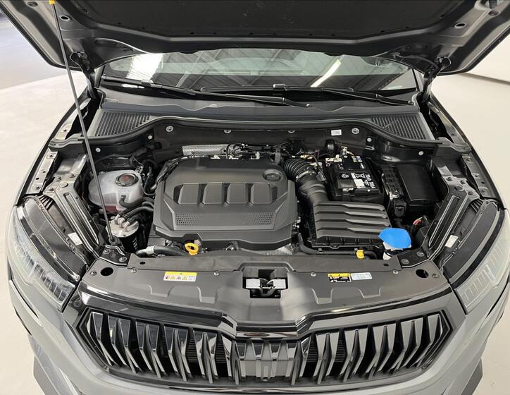 Škoda Karoq 31
