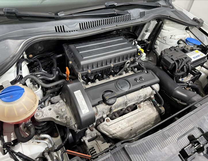 Seat Ibiza 25