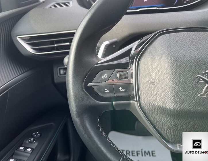 Peugeot 3008 64