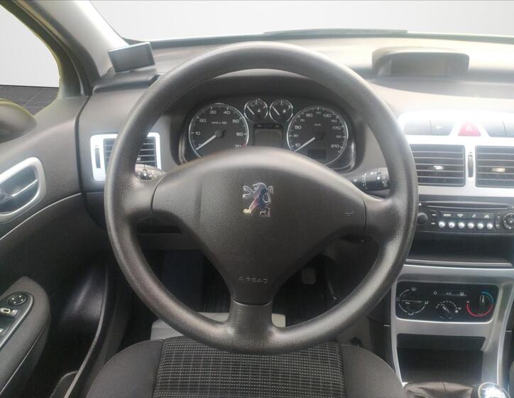 Peugeot 307 11