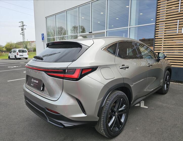 Lexus NX 450h plus 19