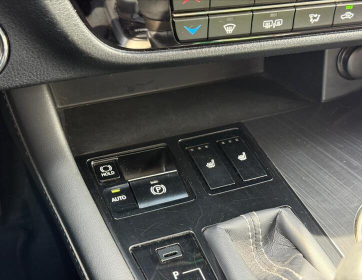 Lexus RX 450h 19