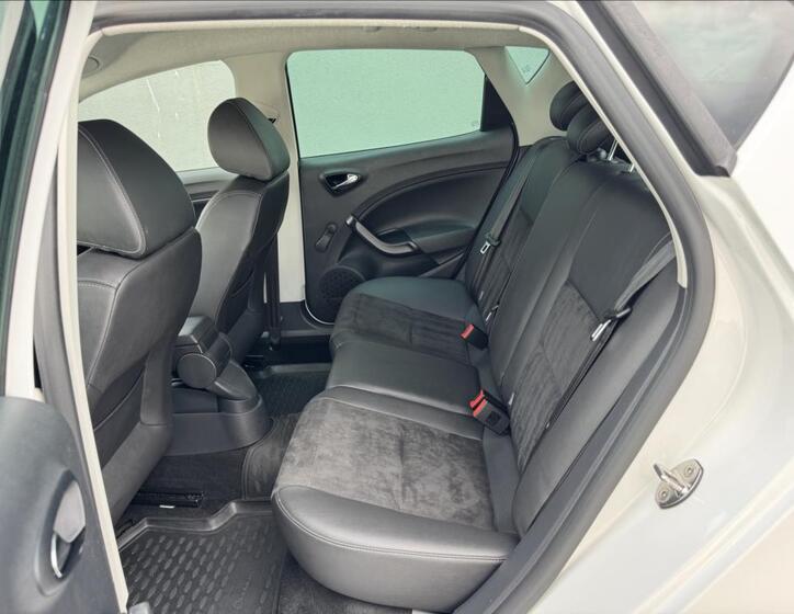 Seat Ibiza 19