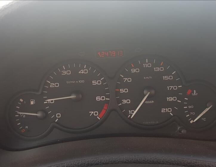 Peugeot 206 6