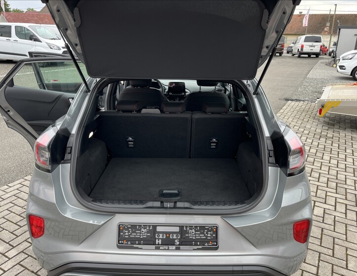 Ford Puma 33