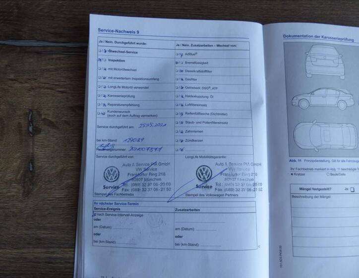 Volkswagen Golf 21