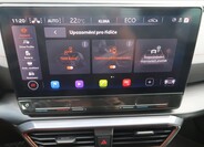 Cupra Formentor 39