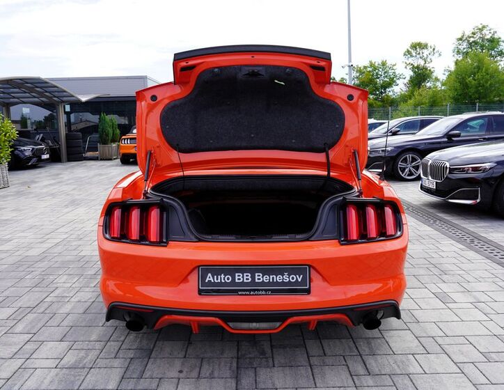 Ford Mustang 19