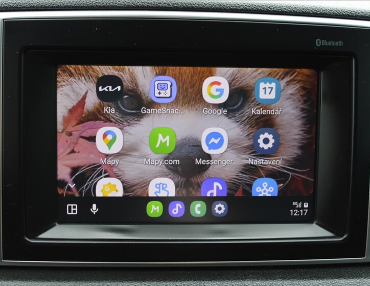 KIA Sportage 15