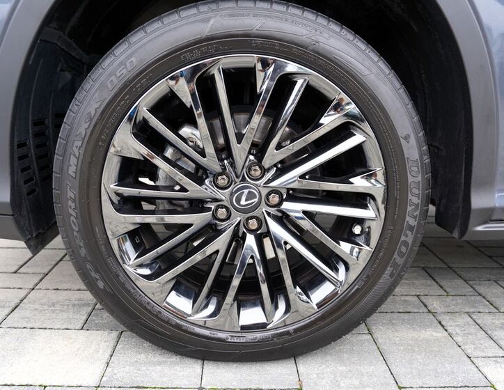 Lexus RX 450 15
