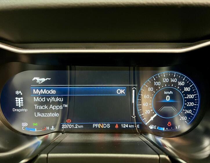 Ford Mustang 19