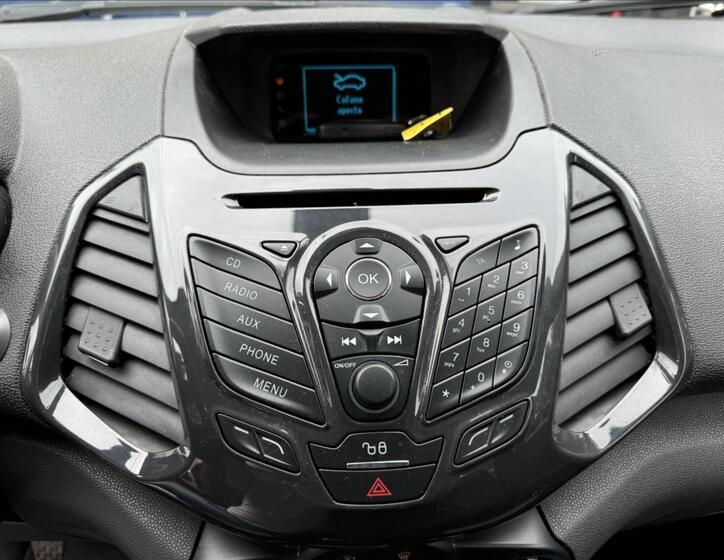 Ford EcoSport 42